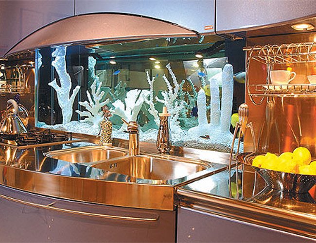 32767 gallons reef tank (mostly live coral and fish) - this is in my kitchen 32767 gallons reef tank (mostly live coral and fish) - this is in my kitchen