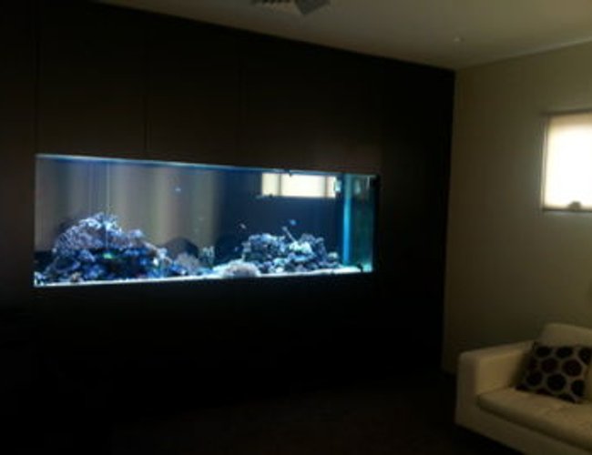 800 gallons reef tank (mostly live coral and fish) - About 1/3 stocked currently 160kg live rock with various corals, anemones, shrimp, prawns, crabs, starfish and fish 800 gallons reef tank (mostly live coral and fish) - About 1/3 stocked currently 160kg live rock with various corals, anemones, shrimp, prawns, crabs, starfish and fish