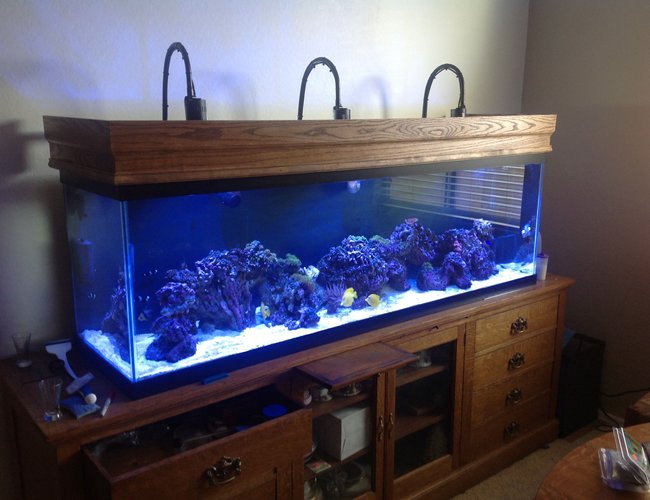 125 gallons reef tank (mostly live coral and fish) - 125 reef tank 125 gallons reef tank (mostly live coral and fish) - 125 reef tank