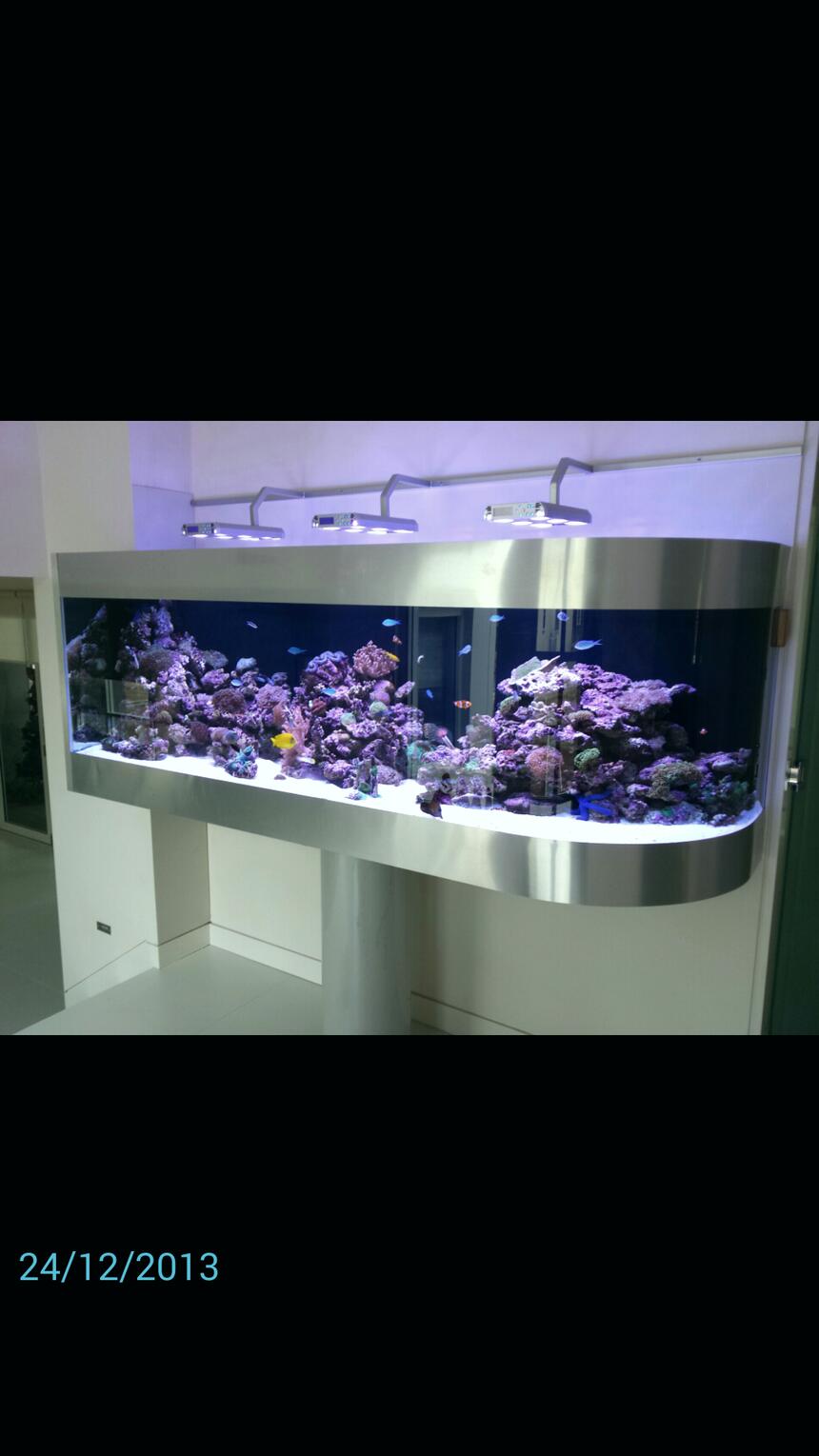 Rated #2: 300 Gallons Reef Tank - Australian reef tank on pole support Rated #2: 300 Gallons Reef Tank - Australian reef tank on pole support