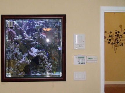 235 gallons saltwater fish tank (mostly fish, little/no live coral) - Inside bedroom with the tank view 235 gallons saltwater fish tank (mostly fish, little/no live coral) - Inside bedroom with the tank view