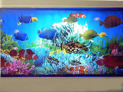 5 gallons saltwater fish tank (mostly fish, little/no live coral) - my fish 5 gallons saltwater fish tank (mostly fish, little/no live coral) - my fish