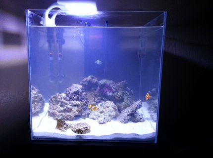 25 gallons saltwater fish tank (mostly fish, little/no live coral) - Aquatop HCC-18 25g tank. 25 gallons saltwater fish tank (mostly fish, little/no live coral) - Aquatop HCC-18 25g tank.