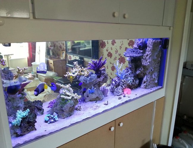 130 gallons saltwater fish tank (mostly fish, little/no live coral) - New in wall tank, unfinished cabinet 130 gallons saltwater fish tank (mostly fish, little/no live coral) - New in wall tank, unfinished cabinet