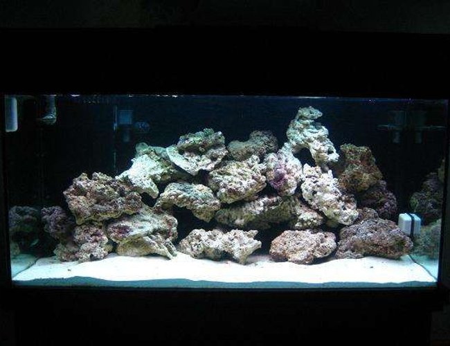 55 gallons saltwater fish tank (mostly fish, little/no live coral) - 120 DAS tank under construction...... 55 gallons saltwater fish tank (mostly fish, little/no live coral) - 120 DAS tank under construction......