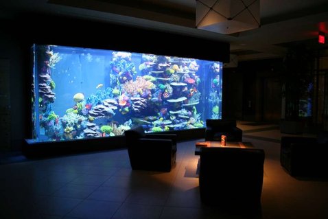 Rated #1: 175 Gallons Saltwater Fish Tank - 8000g fish only Rated #1: 175 Gallons Saltwater Fish Tank - 8000g fish only