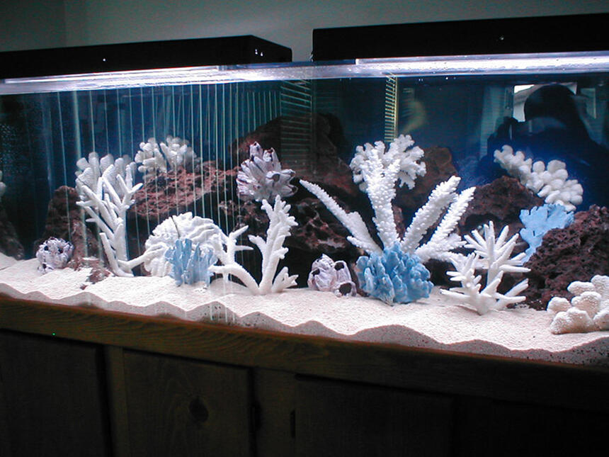 Rated #97: Saltwater Fish Tank - Tight tank! Rated #97: Saltwater Fish Tank - Tight tank!