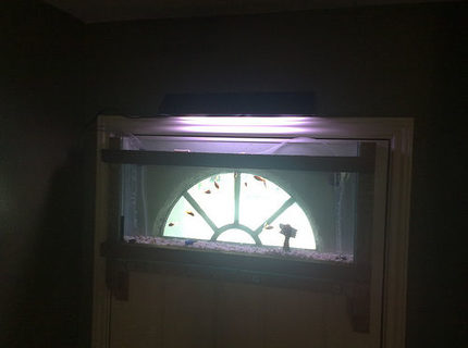 4 gallons freshwater fish tank (mostly fish and non-living decorations) - its the first ever, i think, and its
mine, that i made, on my front door 4 gallons freshwater fish tank (mostly fish and non-living decorations) - its the first ever, i think, and its
mine, that i made, on my front door