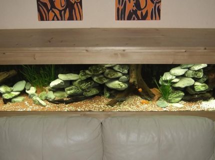 63 gallons freshwater fish tank (mostly fish and non-living decorations) - Tanganyika tank 63 gallons freshwater fish tank (mostly fish and non-living decorations) - Tanganyika tank