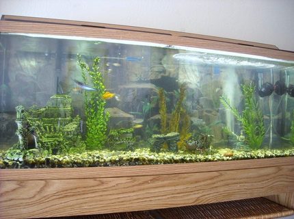 50 gallons freshwater fish tank (mostly fish and non-living decorations) - .. 50 gallons freshwater fish tank (mostly fish and non-living decorations) - ..