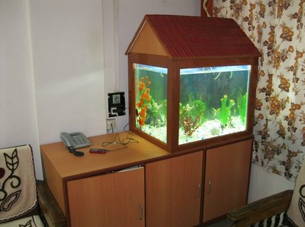 58 gallons freshwater fish tank (mostly fish and non-living decorations) - My fish tank 58 gallons freshwater fish tank (mostly fish and non-living decorations) - My fish tank