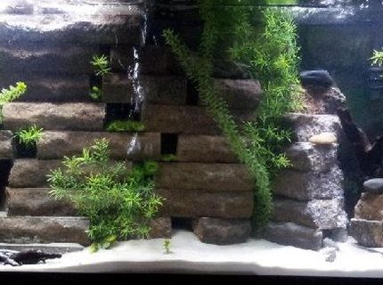 Rated #81: 55 Gallons Freshwater Fish Tank - Many hiding places for fish. Fish
are able to swim through various
sections of the brick wall which is
build n a pyramid shape. Rated #81: 55 Gallons Freshwater Fish Tank - Many hiding places for fish. Fish
are able to swim through various
sections of the brick wall which is
build n a pyramid shape.