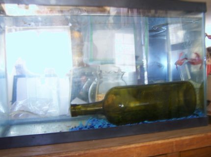 5 gallons freshwater fish tank (mostly fish and non-living decorations) - breeding tank setup 5 gallons freshwater fish tank (mostly fish and non-living decorations) - breeding tank setup