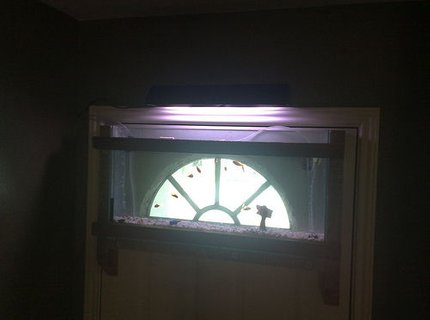 4 gallons freshwater fish tank (mostly fish and non-living decorations) - its the first ever, i think, and its
mine, that i made, on my front door 4 gallons freshwater fish tank (mostly fish and non-living decorations) - its the first ever, i think, and its
mine, that i made, on my front door