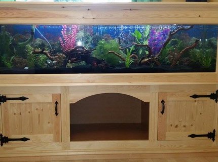 85 gallons freshwater fish tank (mostly fish and non-living decorations) - 72x18x18 homemade aquarium stand 85 gallons freshwater fish tank (mostly fish and non-living decorations) - 72x18x18 homemade aquarium stand