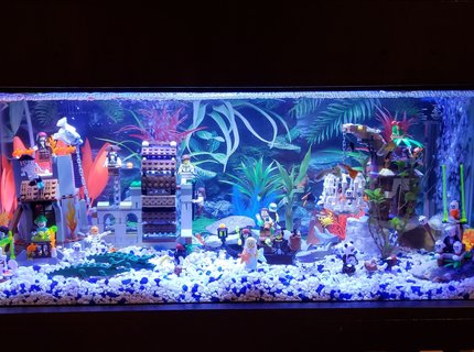 20 gallons freshwater fish tank (mostly fish and non-living decorations) - Lego tank 20 gallons freshwater fish tank (mostly fish and non-living decorations) - Lego tank