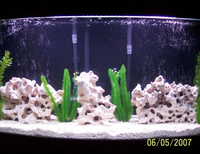 80 gallons freshwater fish tank (mostly fish and non-living decorations) - 80 gal. cichlid tank 80 gallons freshwater fish tank (mostly fish and non-living decorations) - 80 gal. cichlid tank