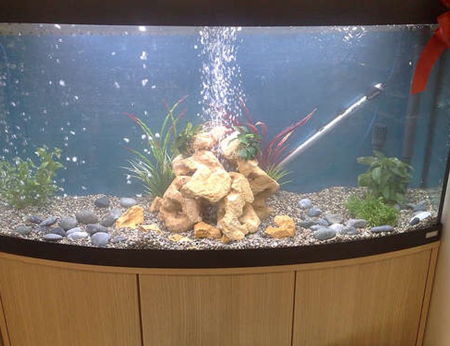 68 gallons freshwater fish tank (mostly fish and non-living decorations) - vicenza 260 tank with bubles what you think? rate me please 68 gallons freshwater fish tank (mostly fish and non-living decorations) - vicenza 260 tank with bubles what you think? rate me please