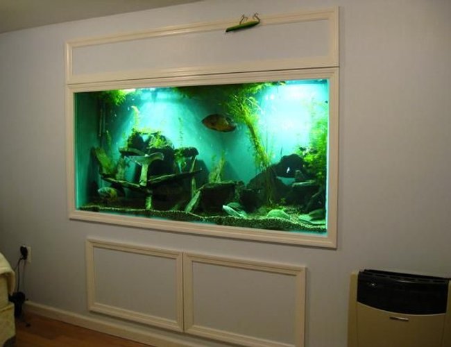 200 gallons freshwater fish tank (mostly fish and non-living decorations) - 200 gallon in wall 200 gallons freshwater fish tank (mostly fish and non-living decorations) - 200 gallon in wall