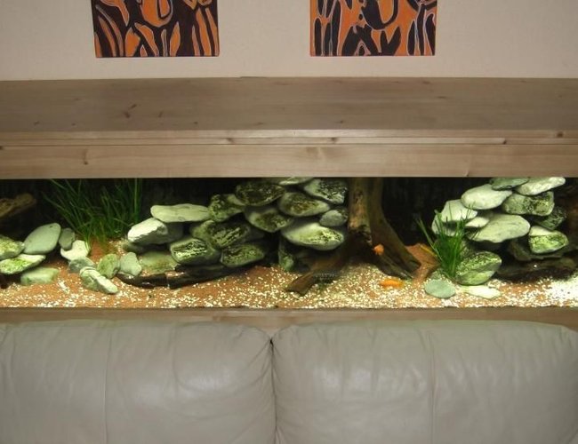 63 gallons freshwater fish tank (mostly fish and non-living decorations) - Tanganyika tank 63 gallons freshwater fish tank (mostly fish and non-living decorations) - Tanganyika tank