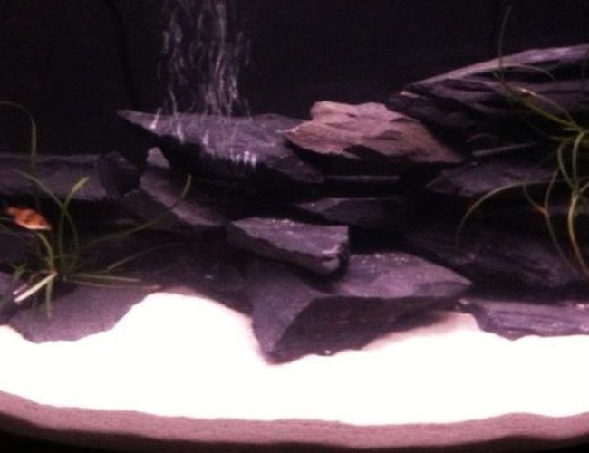 26 gallons freshwater fish tank (mostly fish and non-living decorations) - just getting started, it's in a slow process :) 26 gallons freshwater fish tank (mostly fish and non-living decorations) - just getting started, it's in a slow process :)