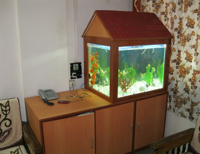58 gallons freshwater fish tank (mostly fish and non-living decorations) - My fish tank 58 gallons freshwater fish tank (mostly fish and non-living decorations) - My fish tank
