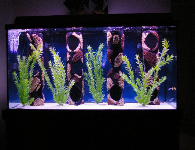 80 gallons freshwater fish tank (mostly fish and non-living decorations) - 80 Gallon malawi cichlid tank 80 gallons freshwater fish tank (mostly fish and non-living decorations) - 80 Gallon malawi cichlid tank