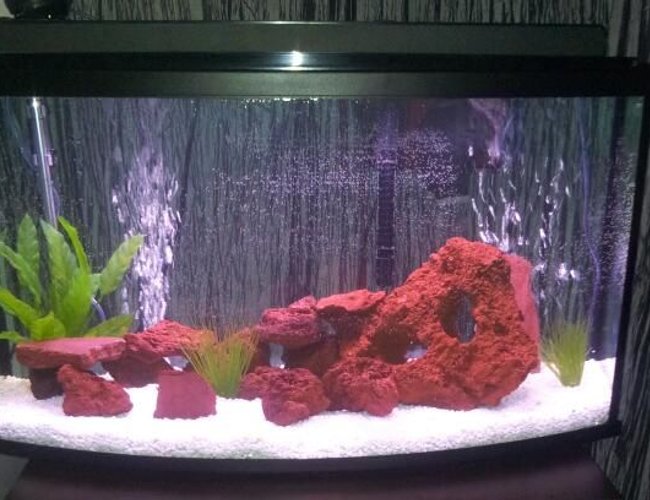 45 gallons freshwater fish tank (mostly fish and non-living decorations) - 45 gallon with africans cichlids 45 gallons freshwater fish tank (mostly fish and non-living decorations) - 45 gallon with africans cichlids