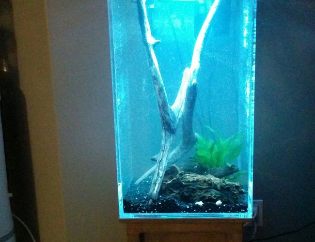 27 gallons freshwater fish tank (mostly fish and non-living decorations) - Acrylic open top aquarium, 27 gallons. 27 gallons freshwater fish tank (mostly fish and non-living decorations) - Acrylic open top aquarium, 27 gallons.