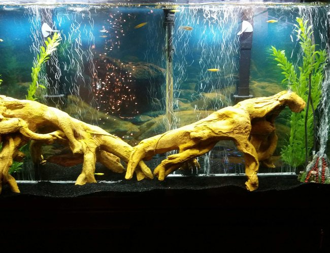 60 gallons freshwater fish tank (mostly fish and non-living decorations) - Newly set up 60 gal 60 gallons freshwater fish tank (mostly fish and non-living decorations) - Newly set up 60 gal