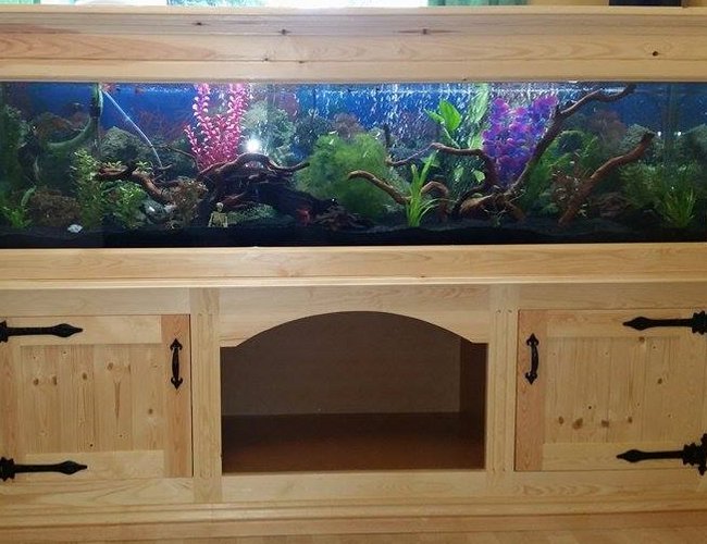 85 gallons freshwater fish tank (mostly fish and non-living decorations) - 72x18x18 homemade aquarium stand 85 gallons freshwater fish tank (mostly fish and non-living decorations) - 72x18x18 homemade aquarium stand