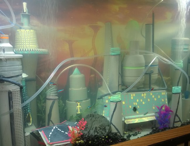 45 gallons freshwater fish tank (mostly fish and non-living decorations) - My space city 45 gallons freshwater fish tank (mostly fish and non-living decorations) - My space city