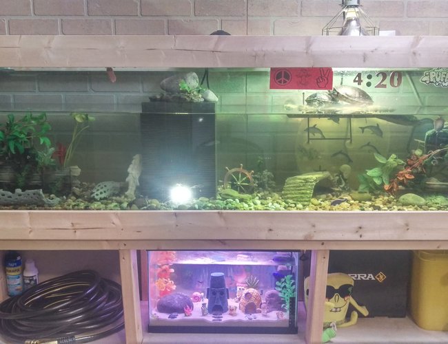 100 gallons freshwater fish tank (mostly fish and non-living decorations) - Have had my turtles for about 10 years now and have just recently begun to care for their tank as an artificial ecosystem rather than a cage for turtles. With a easy to service filter with massive 500 gal filtration capacity; plecostamous and snails to deal with algea load; and guppies and tetra to keep myself and the turtles entertained ; as well as fresh parsley growing out of top of filter to provide fresh green and suck some nitrogen out of the water as it filters back into tank I am very happy with this set up. In addition I have just set up bikini bottom (tank down below) to breed guppies, tetra and snails, so I can raise up fry and snails to a survivable level to add back into turtle tank and keep it bumpin! 100 gallons freshwater fish tank (mostly fish and non-living decorations) - Have had my turtles for about 10 years now and have just recently begun to care for their tank as an artificial ecosystem rather than a cage for turtles. With a easy to service filter with massive 500 gal filtration capacity; plecostamous and snails to deal with algea load; and guppies and tetra to keep myself and the turtles entertained ; as well as fresh parsley growing out of top of filter to provide fresh green and suck some nitrogen out of the water as it filters back into tank I am very happy with this set up. In addition I have just set up bikini bottom (tank down below) to breed guppies, tetra and snails, so I can raise up fry and snails to a survivable level to add back into turtle tank and keep it bumpin!