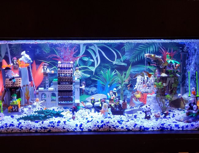 20 gallons freshwater fish tank (mostly fish and non-living decorations) - Lego tank 20 gallons freshwater fish tank (mostly fish and non-living decorations) - Lego tank