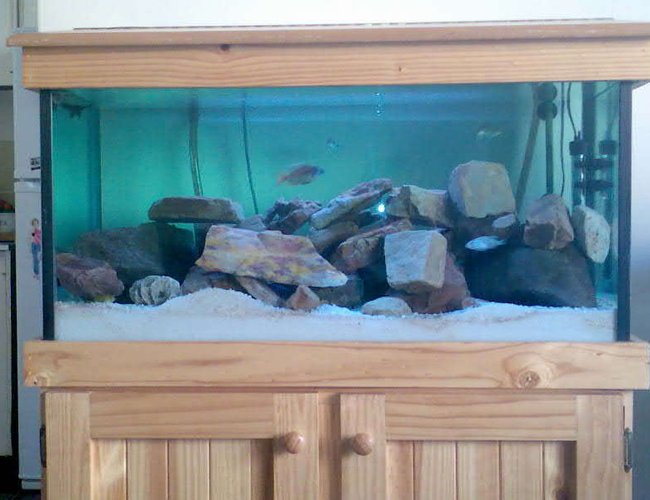 32 gallons freshwater fish tank (mostly fish and non-living decorations) - Tank with wood stand 32 gallons freshwater fish tank (mostly fish and non-living decorations) - Tank with wood stand