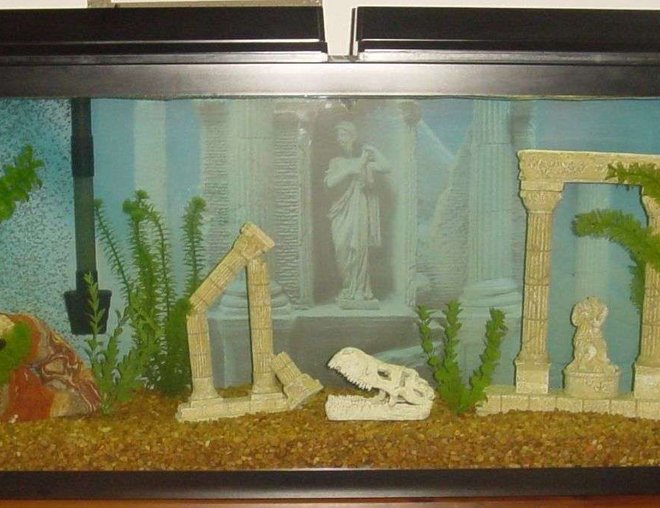 55 gallons freshwater fish tank (mostly fish and non-living decorations) - 55 gallon Oscar tank.Two marineland powerheads and a penguin 350 bio wheel filter. 55 gallons freshwater fish tank (mostly fish and non-living decorations) - 55 gallon Oscar tank.Two marineland powerheads and a penguin 350 bio wheel filter.