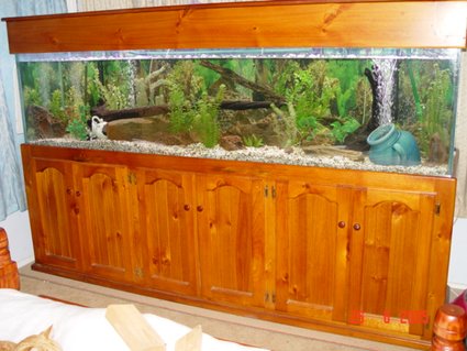 Rated #81: 190 Gallons Freshwater Fish Tank - 8x2x2 tank Rated #81: 190 Gallons Freshwater Fish Tank - 8x2x2 tank