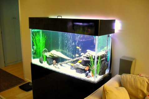 Rated #80: 75 Gallons Freshwater Fish Tank - 75Gal, Marineland 350 dual bio wheel, Jebo 300W heater, DIY GE Lighting, Lava Rocks, Slates, 1/4 white graval Rated #80: 75 Gallons Freshwater Fish Tank - 75Gal, Marineland 350 dual bio wheel, Jebo 300W heater, DIY GE Lighting, Lava Rocks, Slates, 1/4 white graval