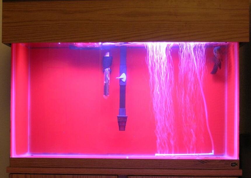 Rated #4241: 90 Gallons Freshwater Fish Tank - none Rated #4241: 90 Gallons Freshwater Fish Tank - none