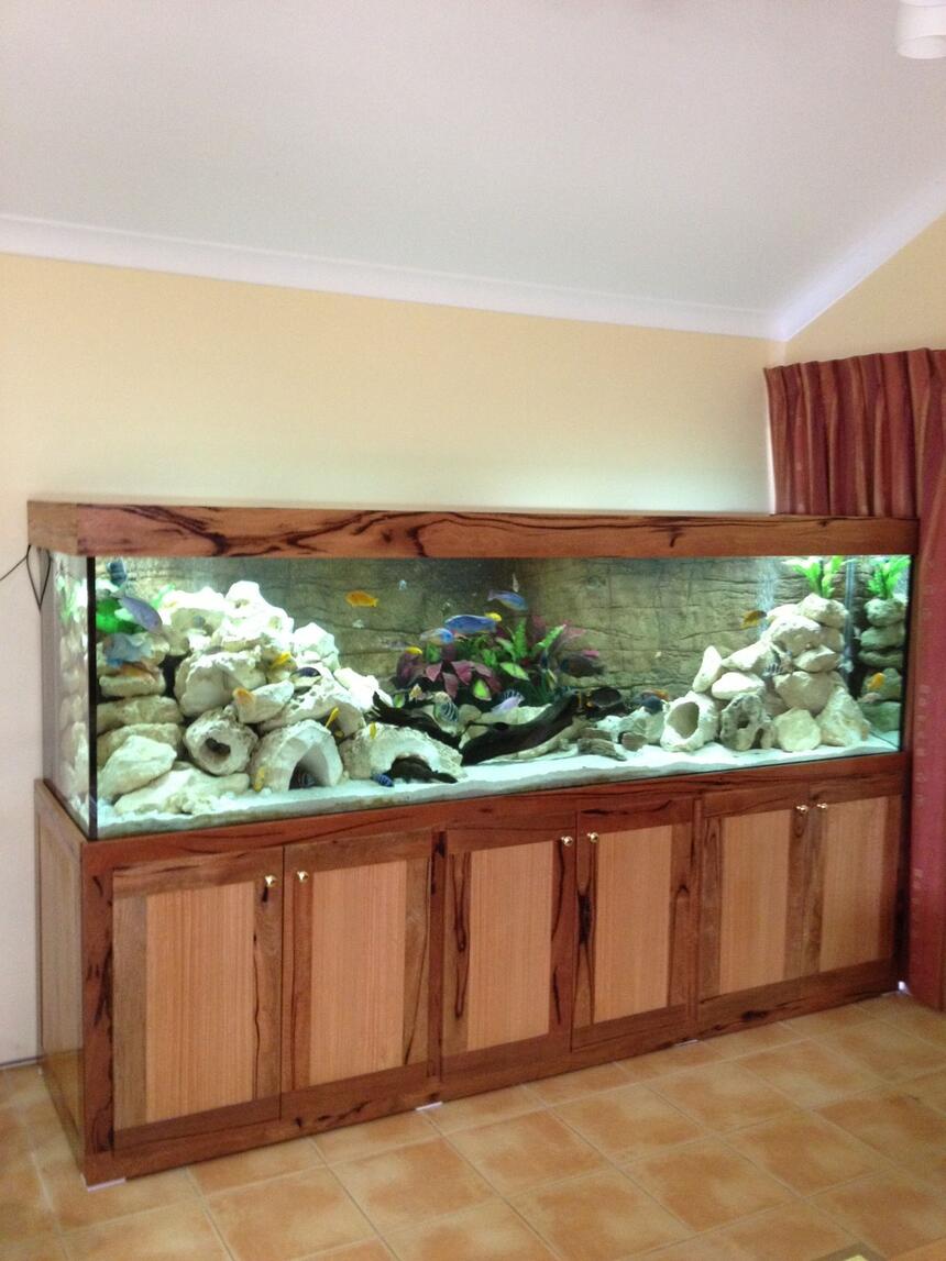 Rated #44: 340 Gallons Freshwater Fish Tank - 340g african cichlid tank Rated #44: 340 Gallons Freshwater Fish Tank - 340g african cichlid tank