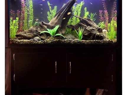 60 gallons freshwater fish tank (mostly fish and non-living decorations) - After umpteen trips to various stores for lighting, plants, fish and such, plus equally umpteen deliveries from Amazon for hardware, test kits, etc., this is where I am right now with my new tank. I wanted to create a possible scene from a lake bed in which the fish will have plenty of hiding places and hopefully feel at ease, with their comfort being my first priority, but I tried to balance that with a sort of purposely unkempt/wild look to everything (without looking like no thought was given to it, which I found is harder to do than it sounds), even though I used all artificial plants (but everything else is real, including the driftwood, riverbed gravel and rocks). It's still cycling just a bit, so it's a little cloudy, but I figured it's clear enough to show enough detail to go ahead and grab a picture of it.
Visible in this one are a flame dwarf gourami, some kind of yellow-and-black-and-orange platy that I think might be pregnant, another yellow-and-orange platy, two Bolivians rams, several zebra danios, neon black tetras, a baby rainbow fish, a couple of mollies and some guppies. I have no idea where the hillstream loach is, though, but he's still in there somewhere. :) 60 gallons freshwater fish tank (mostly fish and non-living decorations) - After umpteen trips to various stores for lighting, plants, fish and such, plus equally umpteen deliveries from Amazon for hardware, test kits, etc., this is where I am right now with my new tank. I wanted to create a possible scene from a lake bed in which the fish will have plenty of hiding places and hopefully feel at ease, with their comfort being my first priority, but I tried to balance that with a sort of purposely unkempt/wild look to everything (without looking like no thought was given to it, which I found is harder to do than it sounds), even though I used all artificial plants (but everything else is real, including the driftwood, riverbed gravel and rocks). It's still cycling just a bit, so it's a little cloudy, but I figured it's clear enough to show enough detail to go ahead and grab a picture of it.
Visible in this one are a flame dwarf gourami, some kind of yellow-and-black-and-orange platy that I think might be pregnant, another yellow-and-orange platy, two Bolivians rams, several zebra danios, neon black tetras, a baby rainbow fish, a couple of mollies and some guppies. I have no idea where the hillstream loach is, though, but he's still in there somewhere. :)