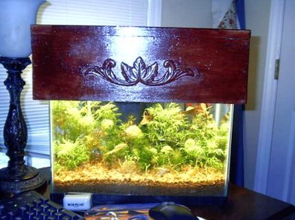planted tank (mostly live plants and fish) - here ya go planted tank (mostly live plants and fish) - here ya go