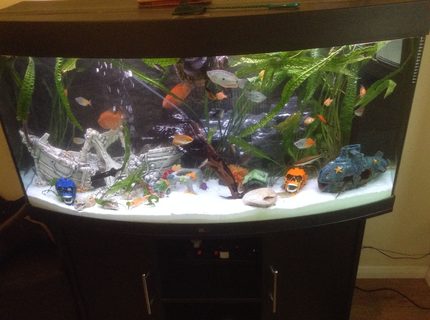 400 gallons planted tank (mostly live plants and fish) - My tank pleas tell me what you think thank you 400 gallons planted tank (mostly live plants and fish) - My tank pleas tell me what you think thank you