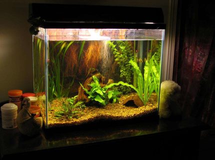 50 gallons planted tank (mostly live plants and fish) - 15 gallon tank 50 gallons planted tank (mostly live plants and fish) - 15 gallon tank