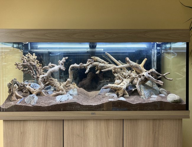 53 gallons planted tank (mostly live plants and fish) - Only hardscaped at the moment .. will update 53 gallons planted tank (mostly live plants and fish) - Only hardscaped at the moment .. will update