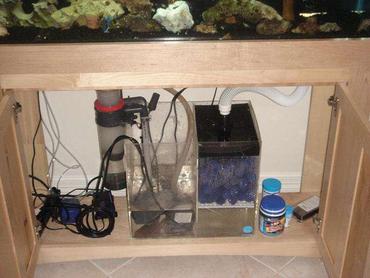 Properly Aerating Your Aquarium | RateMyFishTank.com