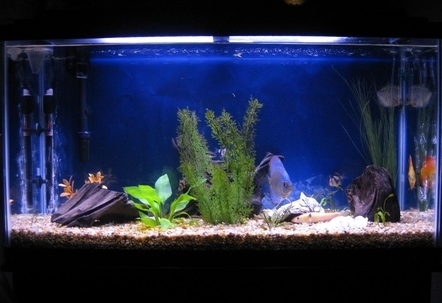 properly maintaining the ph