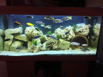 Stacking Rocks in Your Aquarium