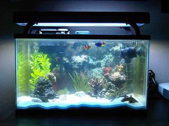 Dealing with Hard Water in the Saltwater Tank