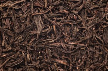 Blackwater Aquariums: How Tannins Improve Fish Health and Reduce Stress